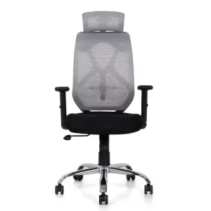 DSR011 – Ergonomic Mesh Executive Chair