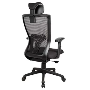 DSR025 Home office chair with lumbar back