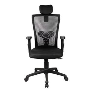 DSR025 Home office chair with lumbar back