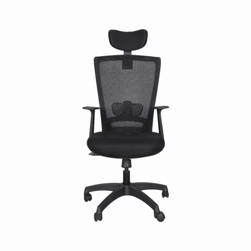 DSR027 Comfortable Home & office chair with lumbar support