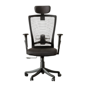 DSR029 Breathable Home and office ergonomic chair
