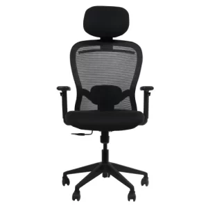 DSR168 Best Executive Mesh Chair for Office