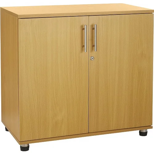 Compact wooden office storage cabinet with 2 lockable doors for files and documents